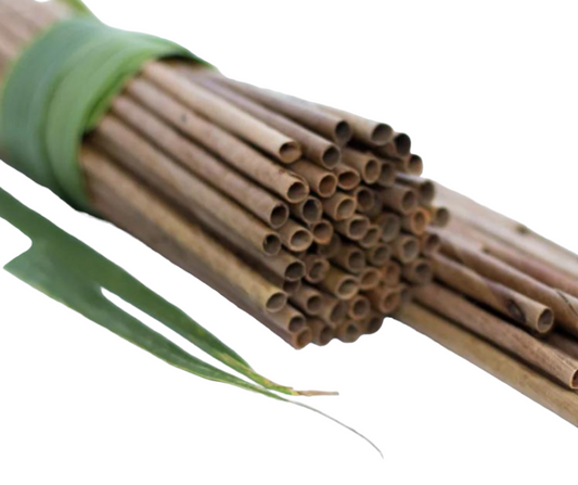 Coconut Palm Leaf Straws 210X8mm (50 Pack)